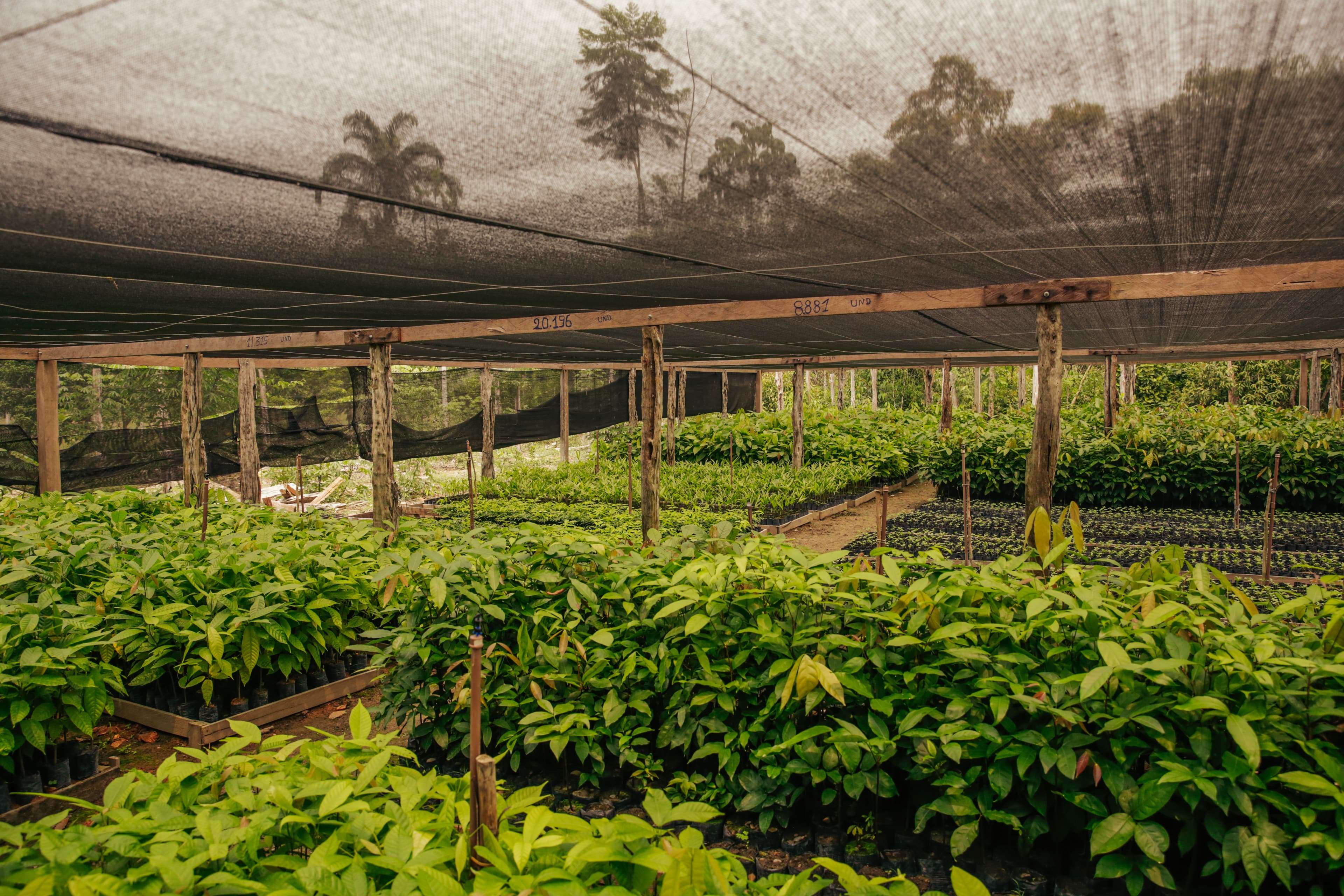 Simplicidade elegante